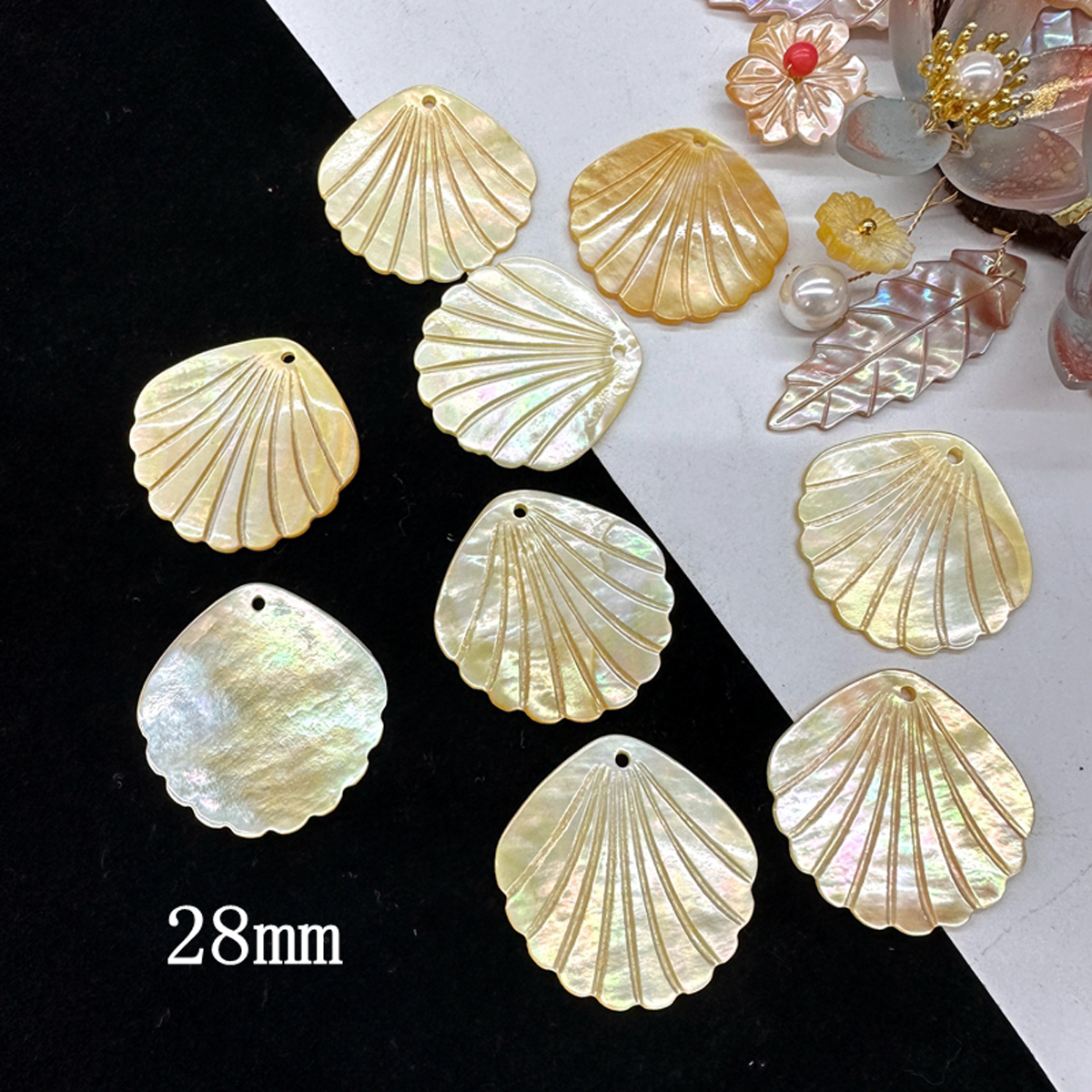 Pearl Stud Earrings - 5Pcs Shell Beads With Hole Natural